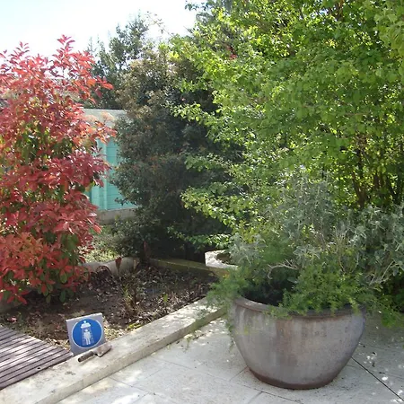 Michele Et Didier Lin Bed & Breakfast Saint-Laurent-dʼAigouze