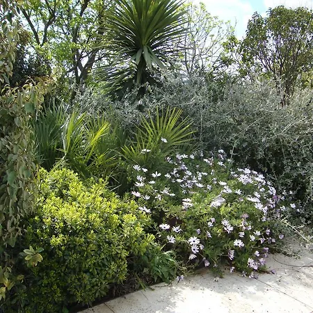 Michele Et Didier Lin 4*