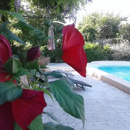 Michele Et Didier Lin Bed & Breakfast *