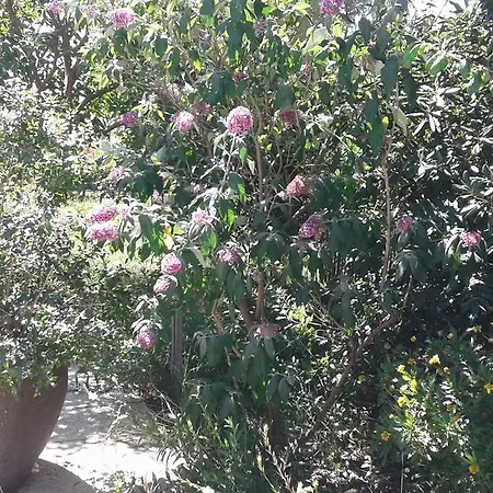 Bed & Breakfast Michele Et Didier Lin