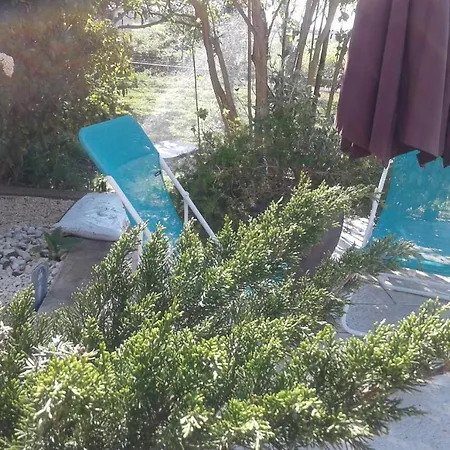 Michele Et Didier Lin Bed & Breakfast Saint-Laurent-dʼAigouze